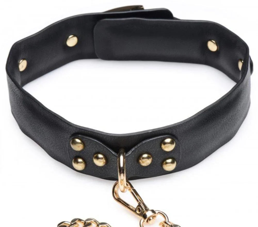 Gold Submission Bondage Kit *