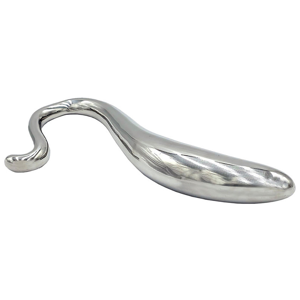 Stainless Steel Hollow Curved Wand In Case - Dildo's