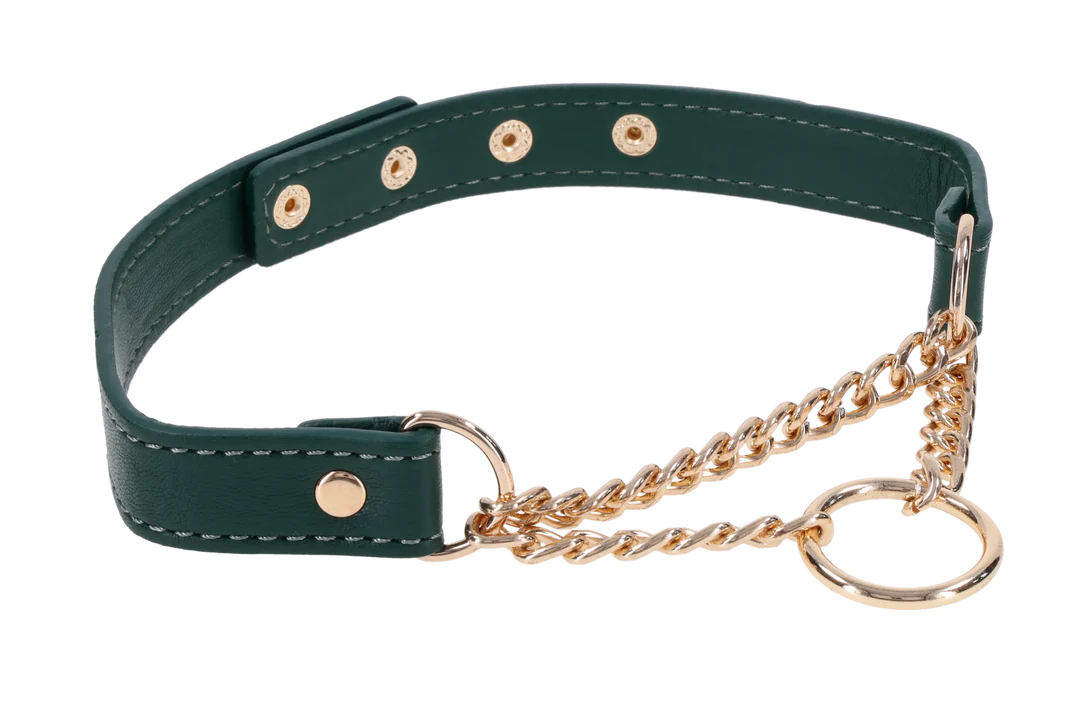 Indica Day Collar