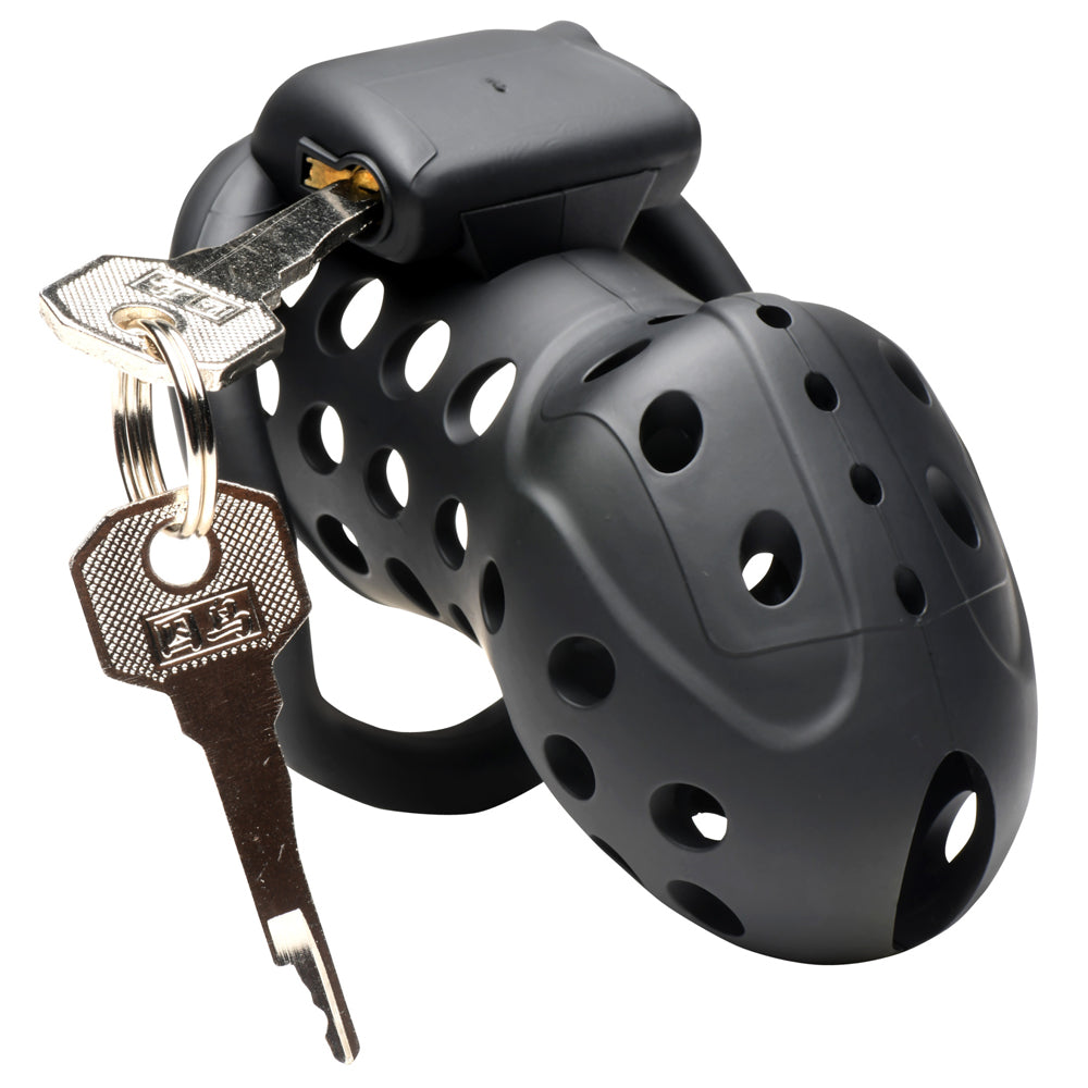Lock Down Chastity Cage - Cock & Balls
